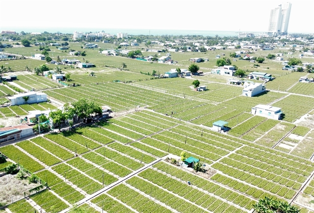 베트남, 첨단기술 투자 우선순위 목록 발표
